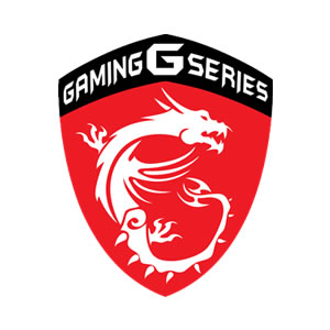 MSI